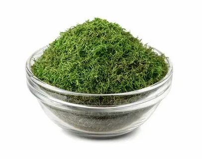 تصویر 2 از فروش عمده شوید خشک با بسته‌ بندی مناسب حمل و نقل